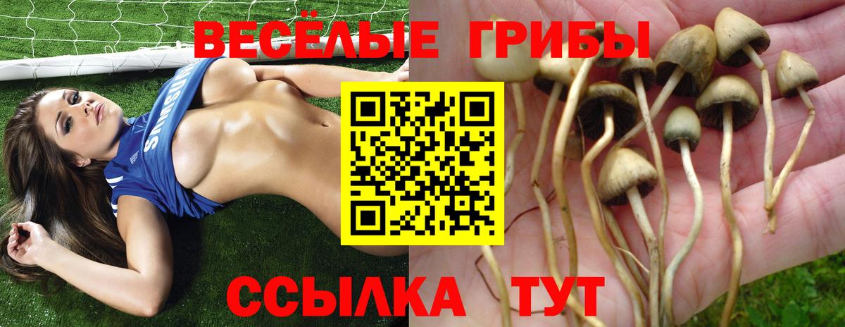 Избербаш  Галлюциногенные грибы прущие грибы  Псилоцибиновые грибы MAGIC MUSHROOMS  Вход с VPN 