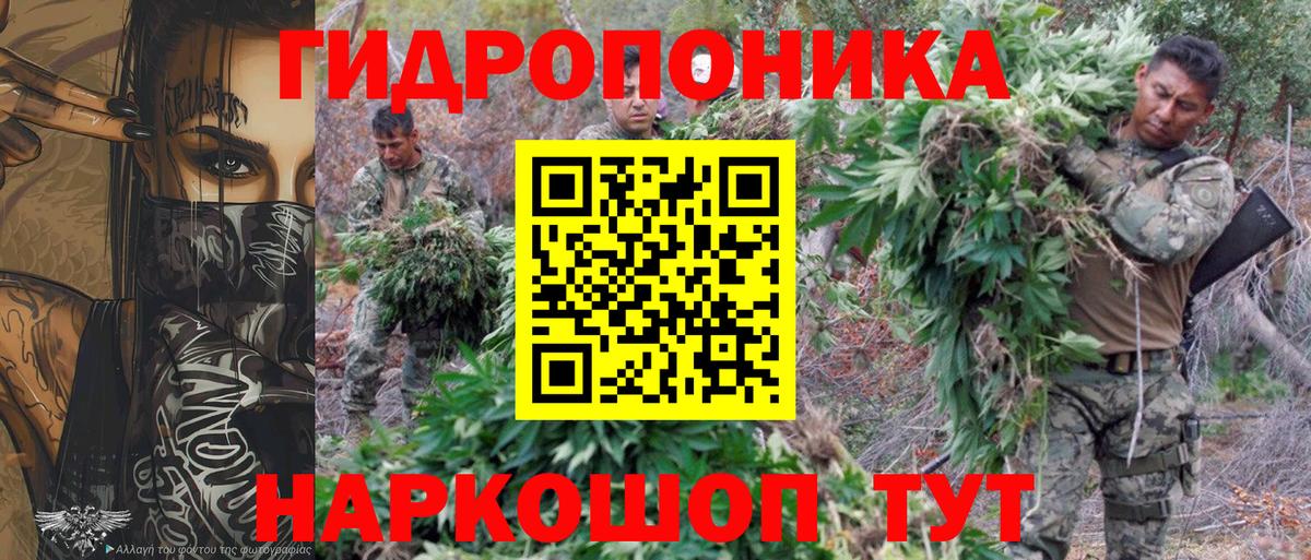 Конопля MAZAR Избербаш
